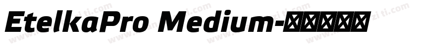 EtelkaPro Medium字体转换